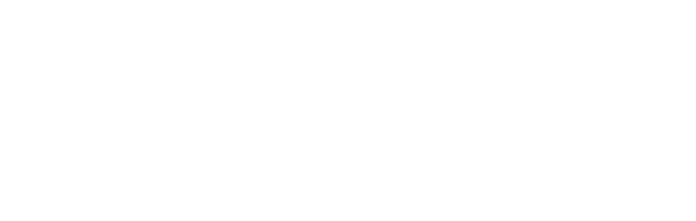 Vogue VIP Transfer